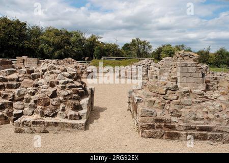 Teil der Fundamente der Bordesley Abbey in Redditch, Worcestershire. Die Abtei wurde 1140 von Zisterziensermönchen gegründet und umfasste die Abteikirche und den Friedhof, Farmen, metallverarbeitende Wassermühlen und Werkstätten. Stockfoto