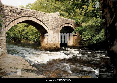 Eine mittelalterliche Brücke über den Fluss Dart in Newbridge, oder New Bridge, in Dartmoor, Devon. Die Brücke wurde 1413 aus lokalem Granit erbaut. Stockfoto