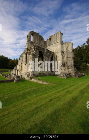 Blick auf die Ruinen der Roche Abbey, in der Nähe von Maltby in South Yorkshire, einem 1147 gegründeten Zisterzienserkloster. Stockfoto