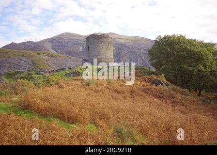 Blick auf Dolbadarn Castle, in der Nähe der Stadt Llanberis in Gwynedd, Nordwales. Die Burg wurde von den Prinzen von Gwynedd einige Zeit vor 1230 erbaut und war mindestens 1284 bis in das frühe 15. Jahrhundert aktiv. Heute stehen nur noch die untersten Fundamente der Außengebäude. Stockfoto