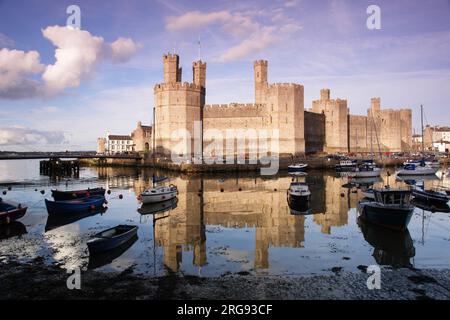 Blick auf Caernarfon (Caernarvon) Castle in Gwynedd, Nordwales, mit zahlreichen Booten auf dem Wasser im Vordergrund. Die Burg wurde von dem englischen König Edward I. aus dem Jahr 1283 an der Stelle einer römischen Festung und Norman motte erbaut. Stockfoto