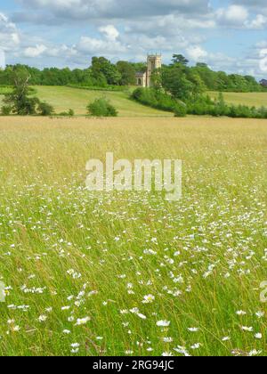 Croome Park, Worcestershire, mit St. Mary Magdalene's Kirche, ein denkmalgeschütztes Gebäude aus dem 18. Jahrhundert am Croome D'Abitot. Stockfoto