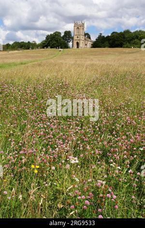 Croome Park, Worcestershire, mit der Kirche St. Mary Magdalena, einem denkmalgeschützten Gebäude aus dem 18. Jahrhundert am Croome D'Abitot und einer wilden Blumenwiese im Vordergrund. Stockfoto