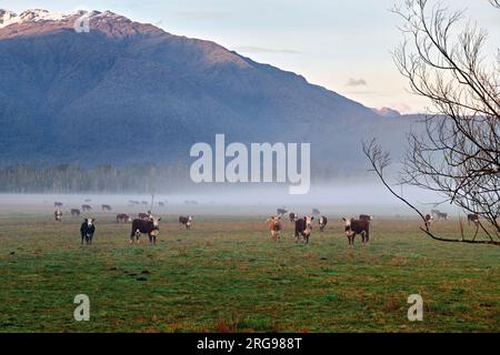 Neuseeland. Die Landschaft auf dem State Highway 6 bei Sonnenaufgang. Westküste. Südinsel Stockfoto