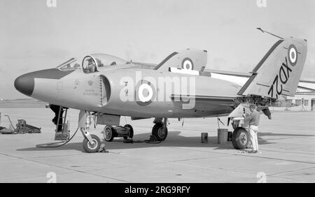 Royal Aircraft Establishment - Supermarine Scimitar F.1 XD229 bei RAE West Freugh in Schottland. Die RAE hat in West Freugh (jetzt Teil von Qinetic) mit einer Vielzahl von Flugzeugen Erforschung der Ballistik und Waffenzielung betrieben. Stockfoto