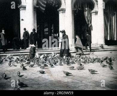 Tauben auf dem Markusplatz, Venedig, Italien Stockfoto