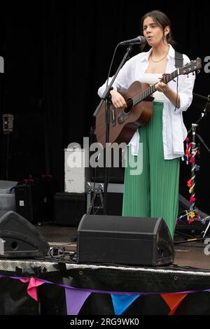 Eine Sängerin/Gitarrist bei Art in the Park, Leamington Spa, Warwickshire, Großbritannien Stockfoto