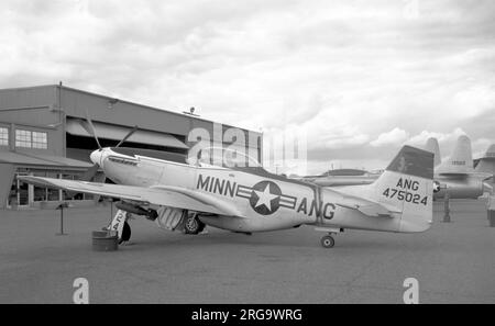 (Ehemals Minnesota Air National Guard) North American P-51D Mustang 44-75024 (msn 122-41564) vor dem Minn ANG Museum in den Farben von Minn ANG. 1948: USAF 96. FS (82. FG). Verkauft auf dem zivilen Markt und registriert als N96JM. 2017 Uhr: Ausstellung mit dem war Eagles Air Museum am Flughafen Dona Ana, Santa Teresa, New Mexico. Stockfoto