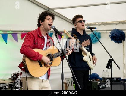 Sänger/Gitarrist bei Art in the Park, Leamington Spa, Warwickshire, England, Großbritannien Stockfoto