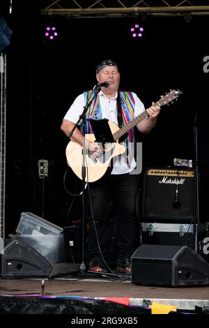 Ein Sänger/Gitarrist Art in the Park, Leamington Spa, Warwickshire, England, Großbritannien Stockfoto