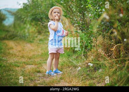 Ein bezauberndes Kleinkind mit Strohhut pflückt frische Bio-Blaubeeren auf dem Bauernhof. Köstlicher, gesunder Snack für kleine Kinder. Sommeraktivitäten im Freien für Stockfoto