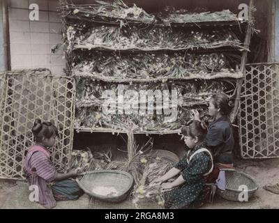 Kinder, die mit Seidenwürmern arbeiten, Japan. Vintage 19. Jahrhundert Foto. Stockfoto