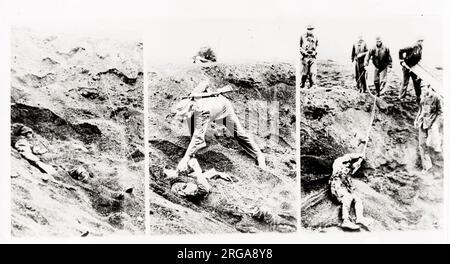 Vintage-Foto des Zweiten Weltkriegs - erster japanischer Gefangener, der auf Iwo Jima aufgenommen wurde - im Falle einer Explosion bis an den Rand des Muschellochs gedraggt. Ein Tag und eine Hälfte tot gespielt. Stockfoto