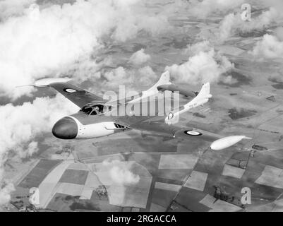 De Havilland DH.112 Sea Venom F.A.W.21 XA539, Flug mit dem Aero Flug von RAE Bedford. Erster Flug am 21. Mai 1954, geliefert am 03. Juni 1954. XA539 wurde mit einem speziellen Instrumentenboom in der Nase des Steuerbord-TIP-Tanks gesehen und nahm an Versuchsarbeiten Teil, bis sie bei RAE Bedford verschrottet wurden. Stockfoto