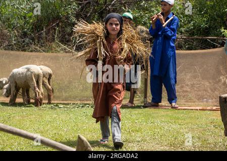 8. August 2023, Kulgam, Jammu und Kaschmir, Indien: Ein Kaschmir-Mädchen in traditioneller Kleidung nimmt am ersten „Veshaw Literary Festival“ in Kulgam, Südkaschmir, Teil. Die Veranstaltung feiert das reiche Erbe der Region mit antiken Tempeln, Sufi-Heiligen und künstlerischem Können und zeigt die fesselnde Welt der Kultur Kaschmirs und die Erzählungen von qualifizierten Handwerkern. (Kreditbild: © Adil Abbas/ZUMA Press Wire) NUR REDAKTIONELLE VERWENDUNG! Nicht für den kommerziellen GEBRAUCH! Stockfoto