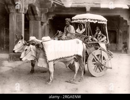 Bullock Cart, Kutsche, ekka, Indien, c.1890 Stockfoto