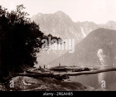 C 1890 s Vintage foto Neuseeland - Harrison Cove, Milford Sound Stockfoto