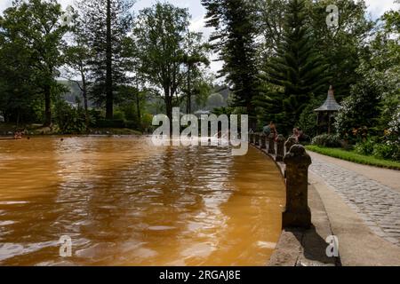 Furnas, Azoren, 21.09.2019 - Landschaftsblick und Menschen, die im Thermalsee im Park Terra Nostra in Furnas schwimmen. Sao Miguel, Azoren Stockfoto