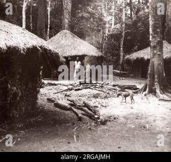 1940s Ostafrika Uganda - Budongo-Wald, Fällen und Sägen von Mahagonibäumen - Holzhütten Foto eines britischen Armeeanwärters, der während des Zweiten Weltkriegs in Ostafrika und dem Nahen Osten stationiert war Stockfoto