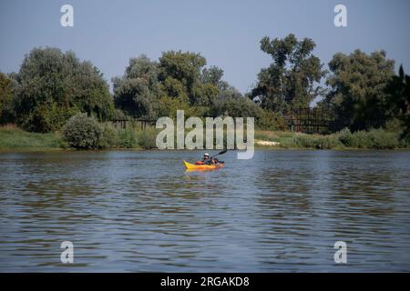 Serbien, 04. August 2023: Die Teilnehmer der TOUR INTERNATIONAL DANUBIEN (TID) Regatta (Quelle der Donau-Schwarzes Meer) passieren eine Etappe Veliko Selo Stockfoto