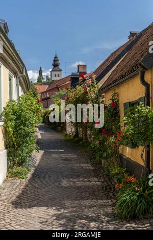 Traditionelle alte Häuser mit Rosen und enge Straße Fisherman's Allee (FiskarGrand). Visby, Insel Gotland, Schweden, Skandinavien. Stockfoto