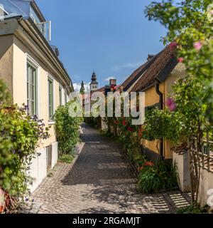 Traditionelle alte Häuser mit Rosen und enge Straße Fisherman's Allee (FiskarGrand). Visby, Insel Gotland, Schweden, Skandinavien. Stockfoto