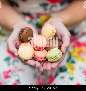 Mädchen in Händen hält, bunte französische Macarons Stockfoto