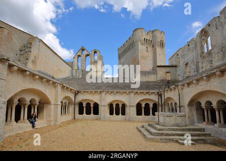 Innenhof mit Kreuzgang und Bögen des romanischen Klosterkomplexes Abbaye de Montmajour, Benediktinerkloster, Arles, Bouches-du-Rhône, Camargu Stockfoto