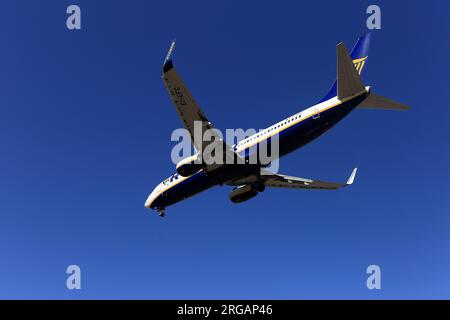 Porto, Portugal - 05. August 2023: Boeing 737-8AS landet auf OPO, Francisco Sá Carneiro Airport Stockfoto