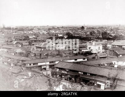 C 1880 Japan - Birds auf Tokio Stockfoto