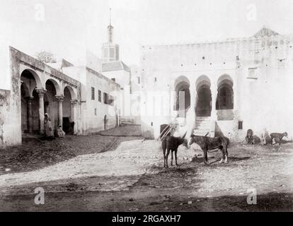 Pferde und Esel in einem quadratischen, Tanger, Marokko, C., 1890 Stockfoto