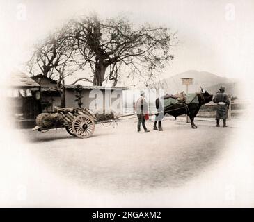 C. 1880 Japan - Ochsenkarren Stockfoto