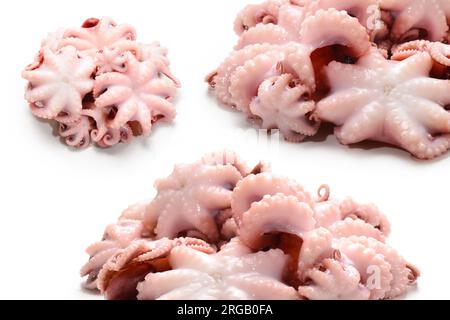 Octopus isoliert auf weißem Hintergrund. Stockfoto