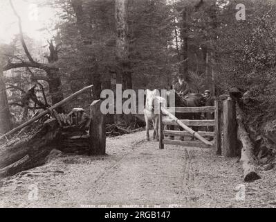 Vintage 19. Jahrhundert Foto: Neuseeland - Heaven's Gate Lake Wakatipu, Pferd und Wagen Stockfoto