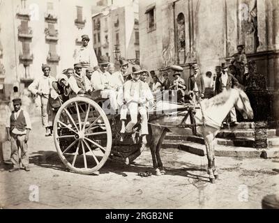 19. Jahrhundert Vintage-Foto: Pferd und Wagen, Personenwagen, hackney, Süditalien, um 1890. Stockfoto