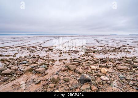 Bei Ebbe in der Bay of Fundy werden weitläufige Schlammflächen enthüllt, während das Wasser zurückgeht. Das ist bei den Daniel Flats in Hopewell Rocks sehr offensichtlich Stockfoto