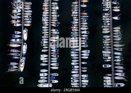 Luftaufnahme über Stegen mit Segelbooten im Jachthafen im Hafen Heiligenhafen an der Ostsee, Ostholstein, Schleswig-Holstein, Deutschland Stockfoto