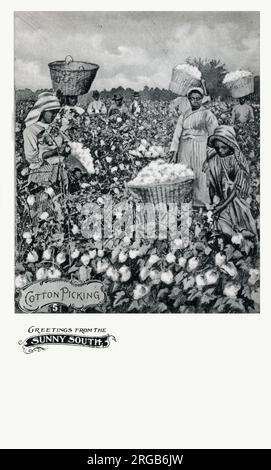 Schwarze Arbeiter pflücken Baumwolle auf einer Plantage im Süden der USA. Stockfoto