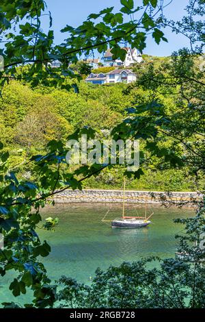 Solva Harbour in der Mündung des Flusses Solva vom Gribin in Solva im Pembrokeshire Coast National Park, West Wales UK aus gesehen Stockfoto