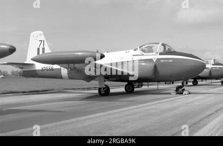 Royal Air Force - Hunting-Percival P.84 Jet Provost T.4 XP556 '71' (msn ) vom Royal Air Force College. Stockfoto