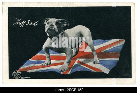 Bulldog und Unionsflagge repräsentieren den Kampfgeist der Nation 9 Tage nach der Schlacht an der Somme. WW1 Stockfoto