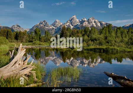 Grand Teton Range mit Reflexion im Fluss in Schwabacher Landing, Grand Teton National Park, Wyoming, Vereinigte Staaten von Amerika Stockfoto