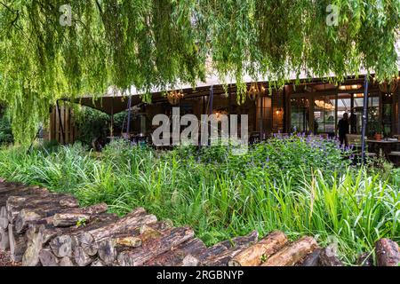 Das Restaurant und die Bar im Pig in Bridge Place, in der Nähe von Canterbury, Kent. Stockfoto