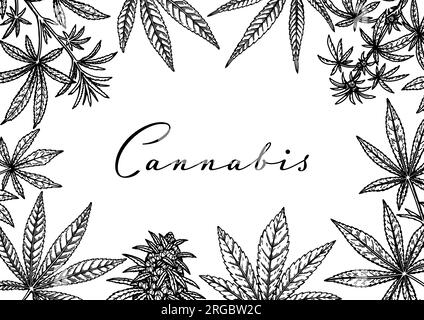 Horizontales Cannabis-Design für Verpackung, Beiträge in sozialen Medien, Dekoration, Branding, Zertifikate. Marihuana-Vektordarstellung im Skizzenstil. Stock Vektor