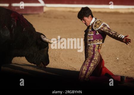 Estella, Spanien. 07. Aug. 2023. Pedro Gutierrez „El Capea“ fordert während der Stierkämpfe einen Stier von der Hermanas Azcona Ranch heraus. Stierkampf auf der Plaza de Estella, Navarra, mit den Rechten Pablo Hermoso de Mendoza, seinem Sohn Guillermo und dem Stierkämpfer Pedro Gutierrez "El Capea". Vier Stiere von der portugiesischen Rinderfarm Tenorio und zwei Stiere von der Rinderfarm Hermanas Azcona de Navarra. (Foto: Elsa A Bravo/SOPA Images/Sipa USA) Guthaben: SIPA USA/Alamy Live News Stockfoto