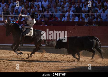 Estella, Spanien. 07. Aug. 2023. Guillermo Hermoso de Mendoza, auf dem Rücken seines Lusitanischen Pferdes, während des Stierkampfs. Stierkampf auf der Plaza de Estella, Navarra, mit den Rechten Pablo Hermoso de Mendoza, seinem Sohn Guillermo und dem Stierkämpfer Pedro Gutierrez "El Capea". Vier Stiere von der portugiesischen Rinderfarm Tenorio und zwei Stiere von der Rinderfarm Hermanas Azcona de Navarra. (Foto: Elsa A Bravo/SOPA Images/Sipa USA) Guthaben: SIPA USA/Alamy Live News Stockfoto