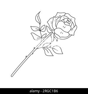Eine blühende Rose auf einem Zweig mit Blättern. Flache handgezeichnete rosa Rosenblume. Botanische Illustration in einem trendigen, flachen Stil. Dekoratives Vektorelement ist Stock Vektor