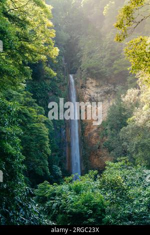Cascata da Ribeira Quente: Tauchen Sie ein in die Schönheit der Azoren, Portugal, während dieser Wasserfall in eine malerische natürliche Umgebung fällt Stockfoto