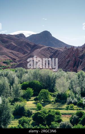 Dades-Schlucht: Ein Meisterwerk der Natur in Marokko, ein atemberaubender Canyon mit dramatischen Felsformationen und malerischen Landschaften, perfekt für Outdoor-Aktivitäten Stockfoto