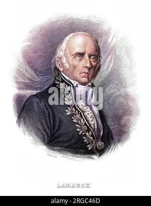 JEAN-BAPTISTE-PIERRE-ANTOINE LAMARCK (1744-1829), französischer Naturforscher, der Darwin in gewisser Hinsicht vorwegnahm, aber die Übertragung erworbener Merkmale akzeptierte. Stockfoto